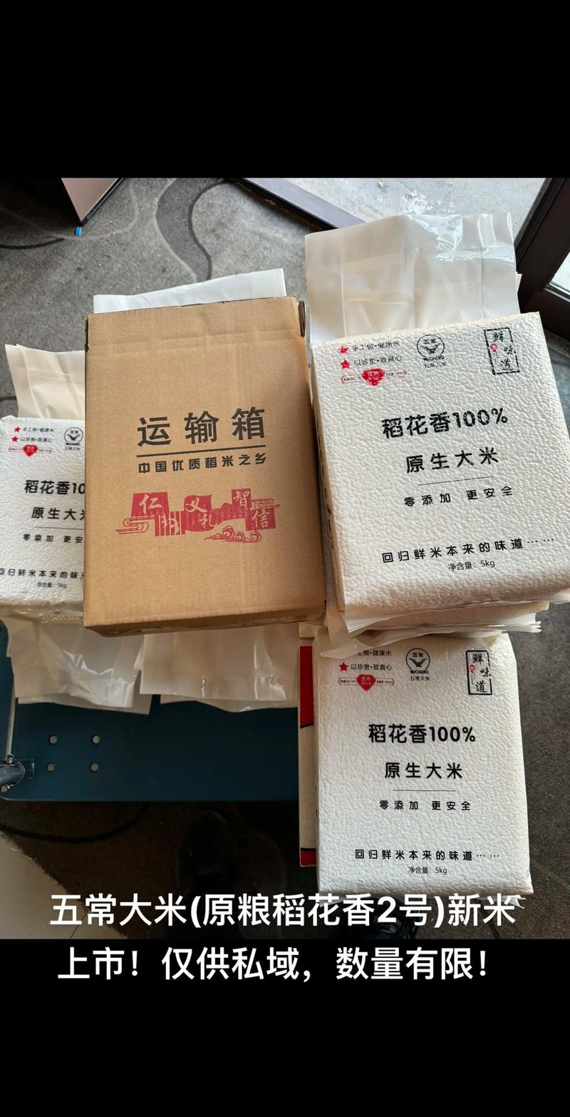 皖北玉米基地：探索现代农业的新篇章