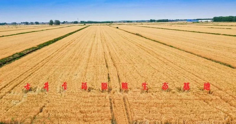 灵璧县家庭农场：现代农业发展的新引擎