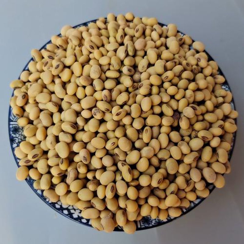 大豆农产品