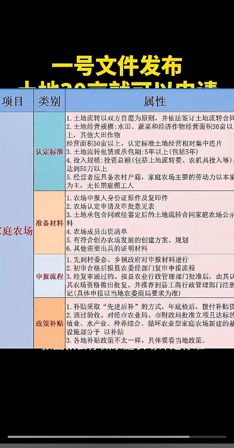 皖北玉米基地：丰收的希望之源
